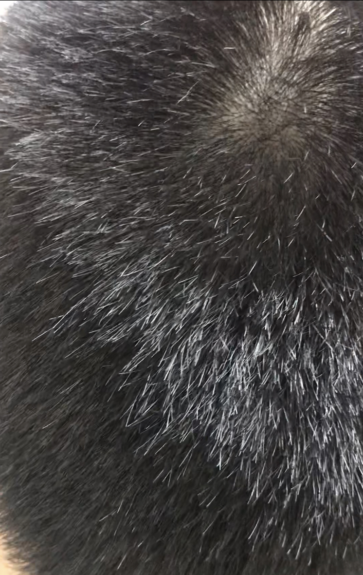 0162F0ED-1053-42C8-AC3E-30C01E991807.jpeg