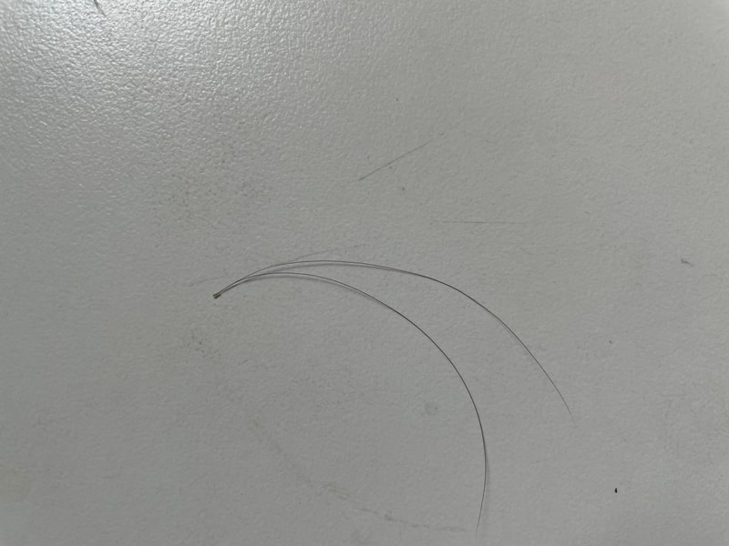 326FB3F2-1597-435F-B7CA-BA1AB285929B.jpeg