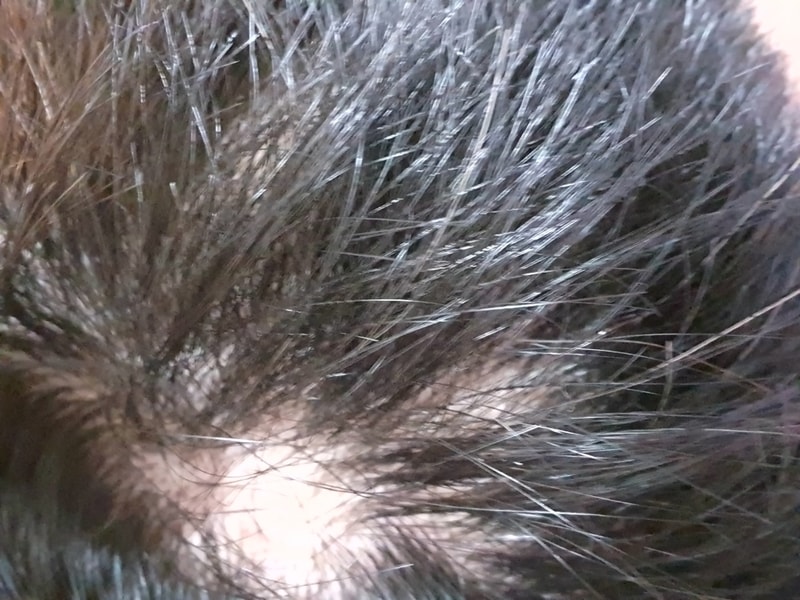 20190607_174612.jpg