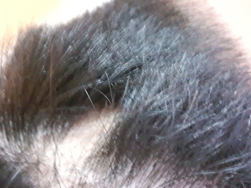 20190607_174607.jpg