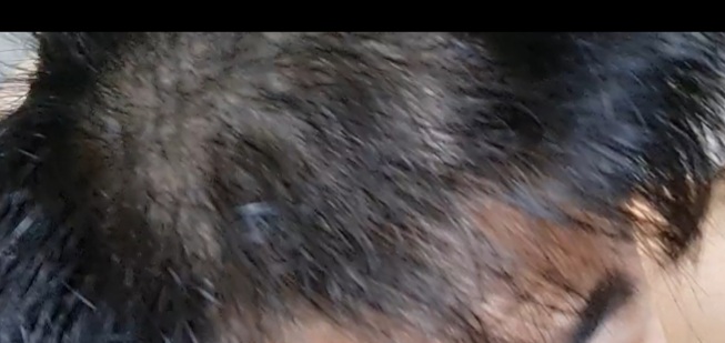 Screenshot_20211204-001427_Video Player.jpg