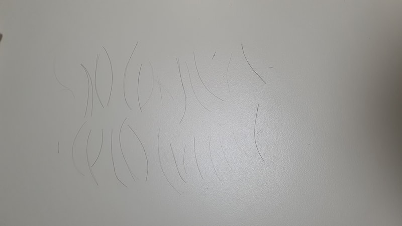 20210326_112353.jpg