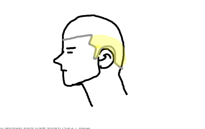 1691545047696.png