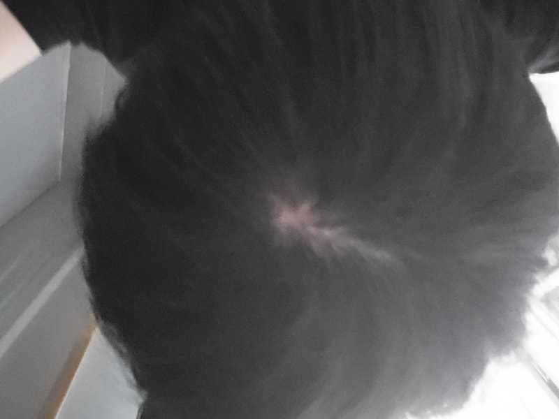 20200813_172112.jpg