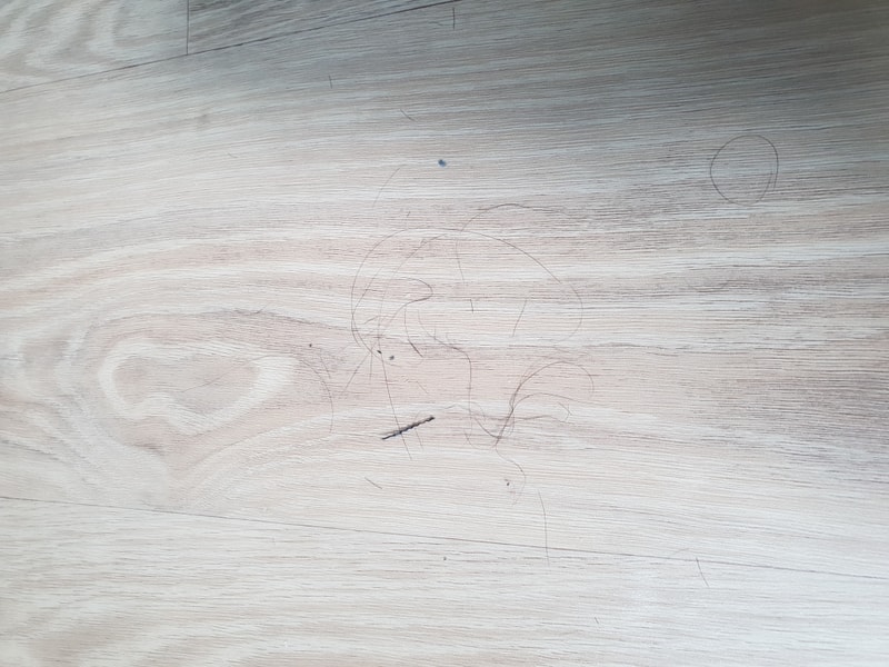 20190319_102204.jpg