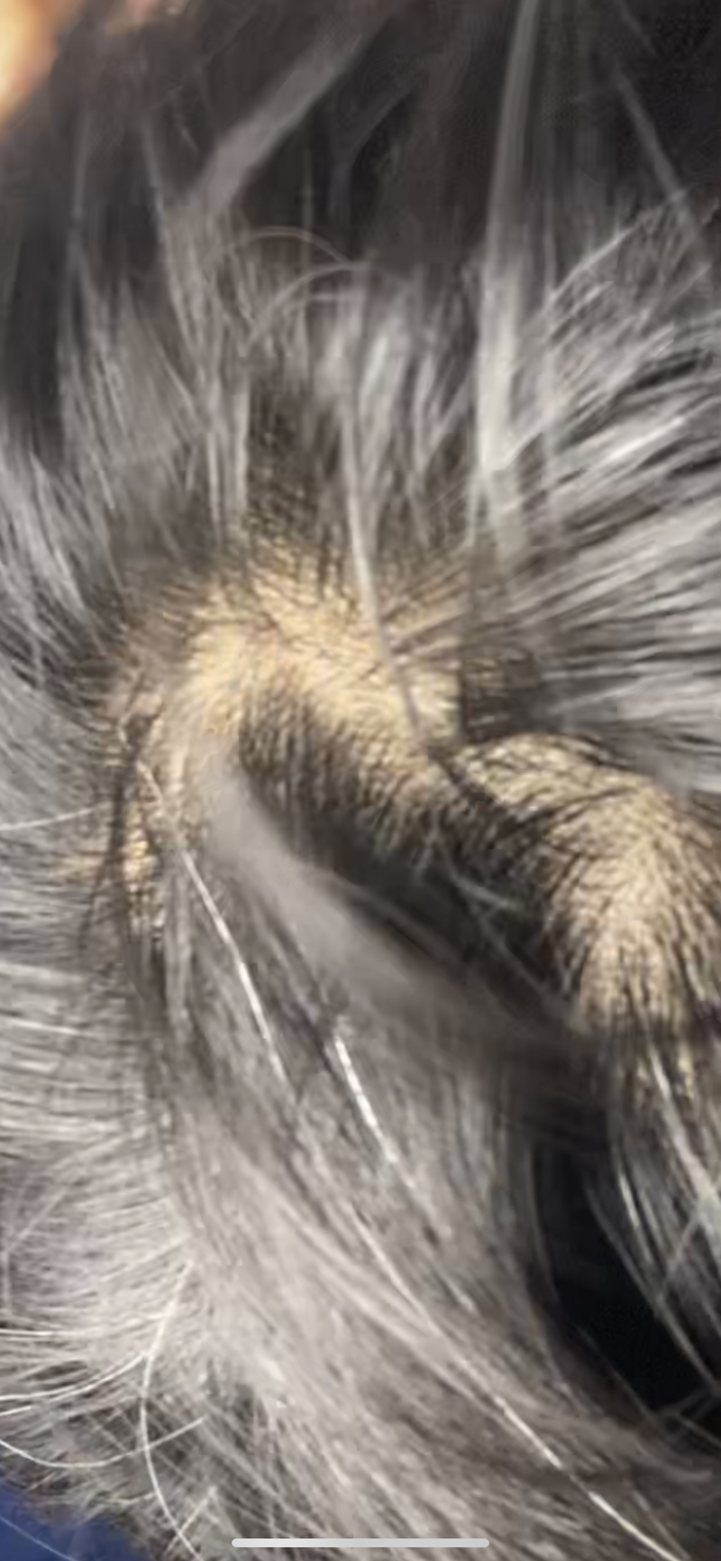 1E4DE9E1-2C4B-4B98-9D14-DF8C88A83857.png