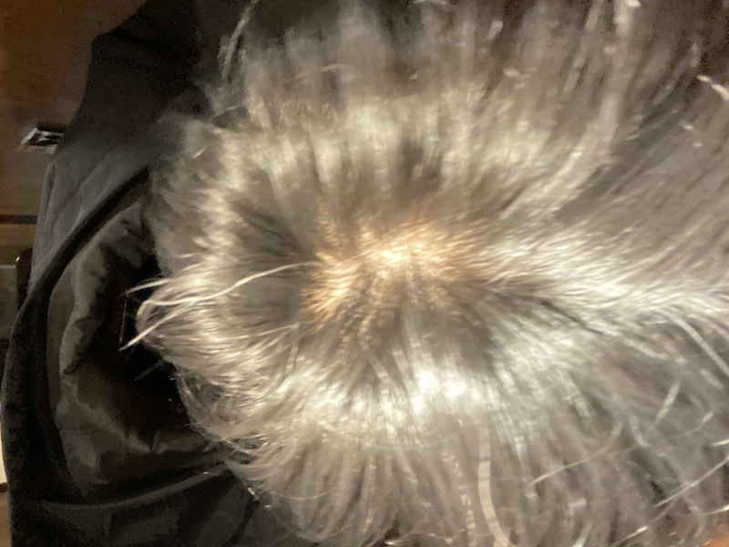 29FA8872-F673-47AC-83E9-86B1D7A4A16A.jpeg