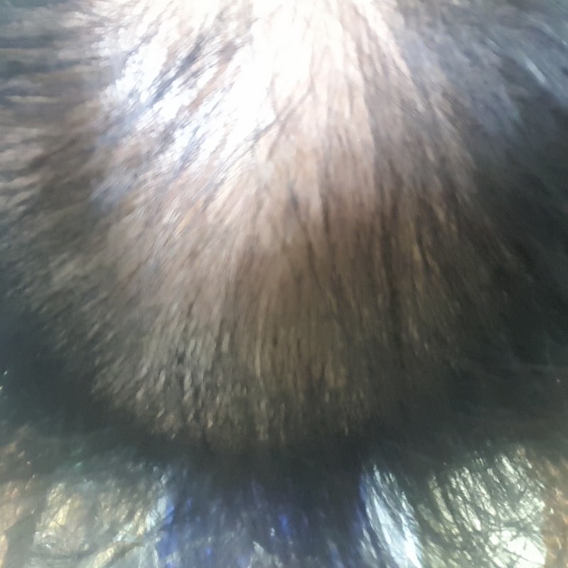 20170403_111852.jpg