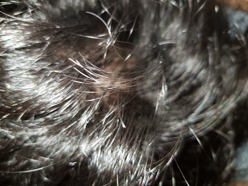 20191215_012214.jpg