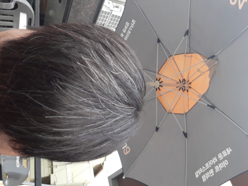 20190601_174552.jpg