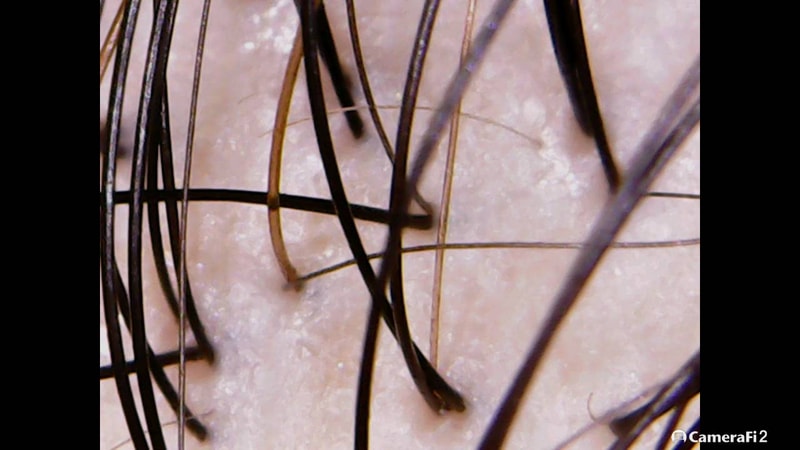 200617_125316.jpg