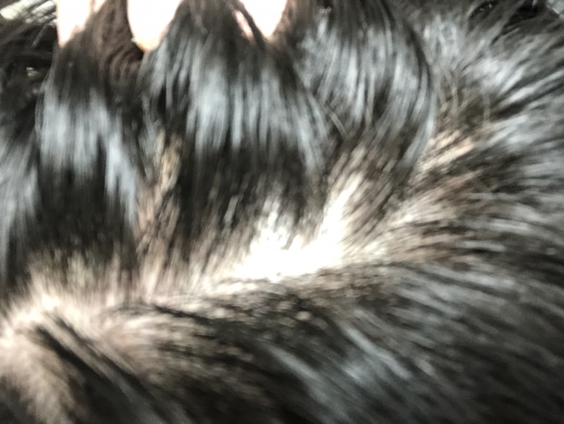 B962033C-5004-4632-99AD-1E7BC08D6B38.jpeg