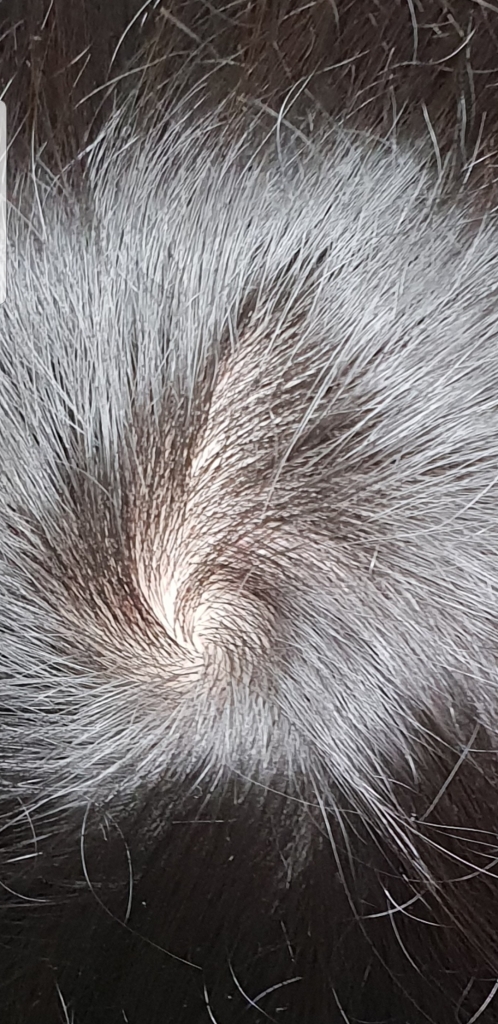 Screenshot_20190310-210426_Gallery.jpg