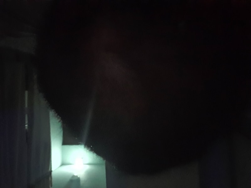 20190928_083600.jpg