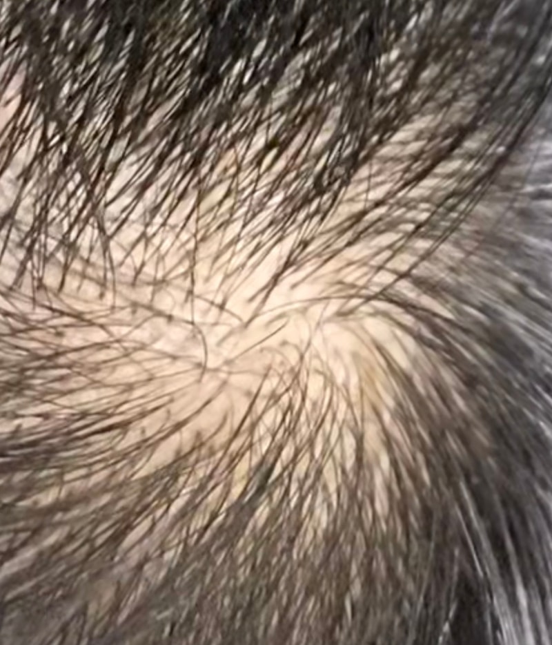 7F2C653D-D3E5-430F-925B-61F3F08615E2.jpeg