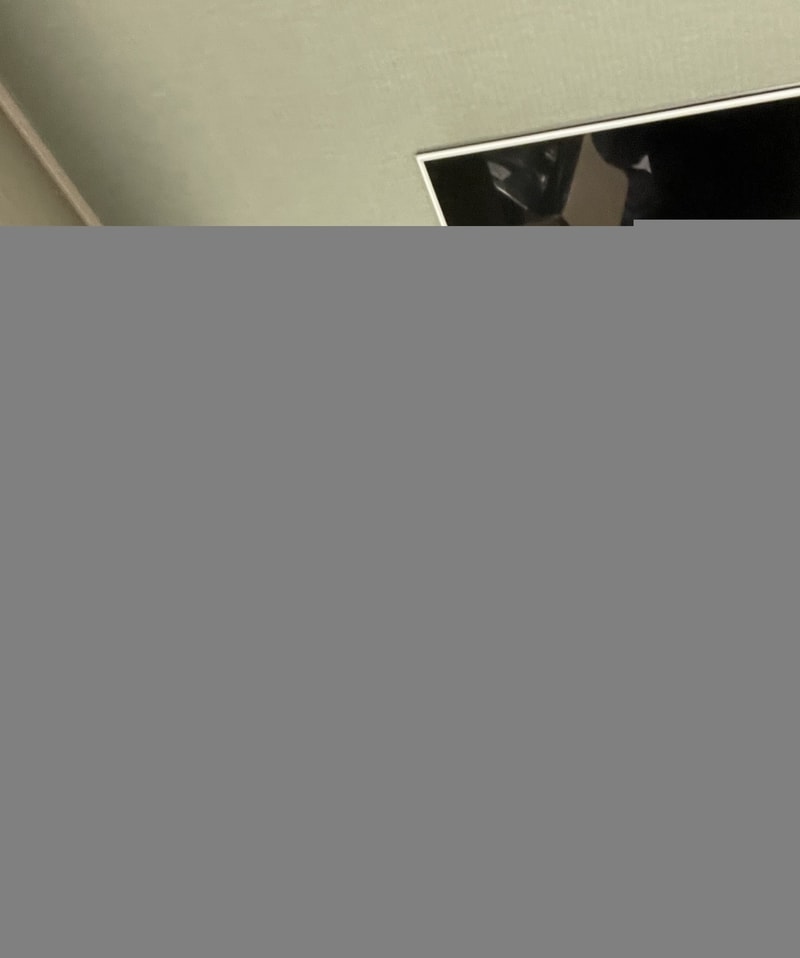 IMG_3469.jpeg
