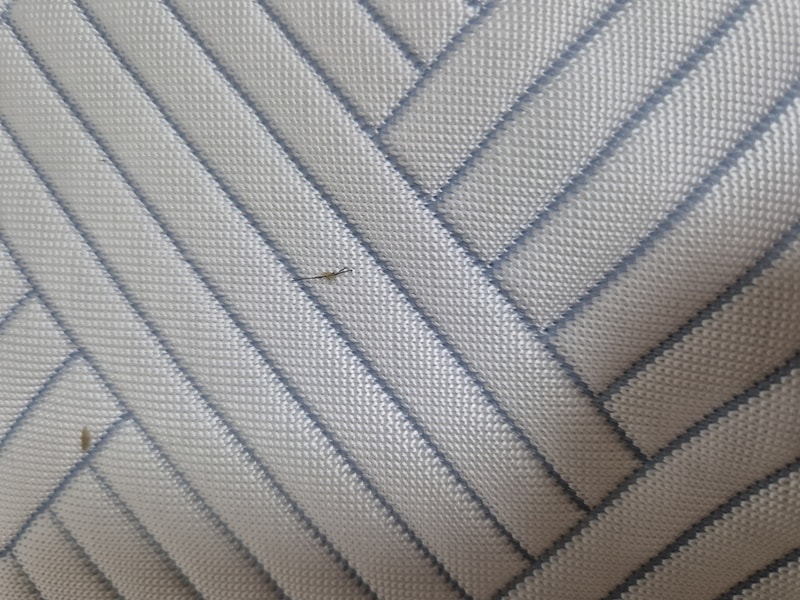 20240812_235214.jpg