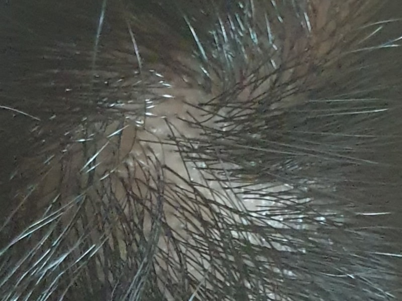 20240616_221530.jpg