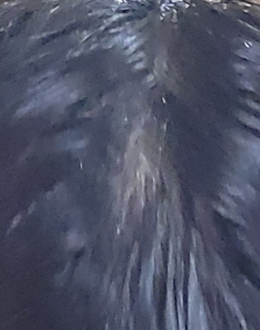 20230109_154647.jpg