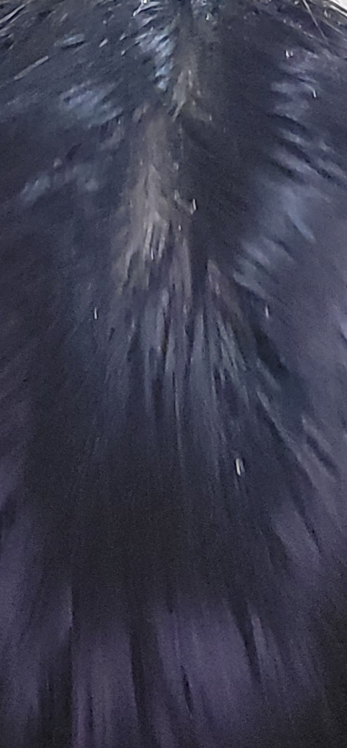 20230109_154640.jpg