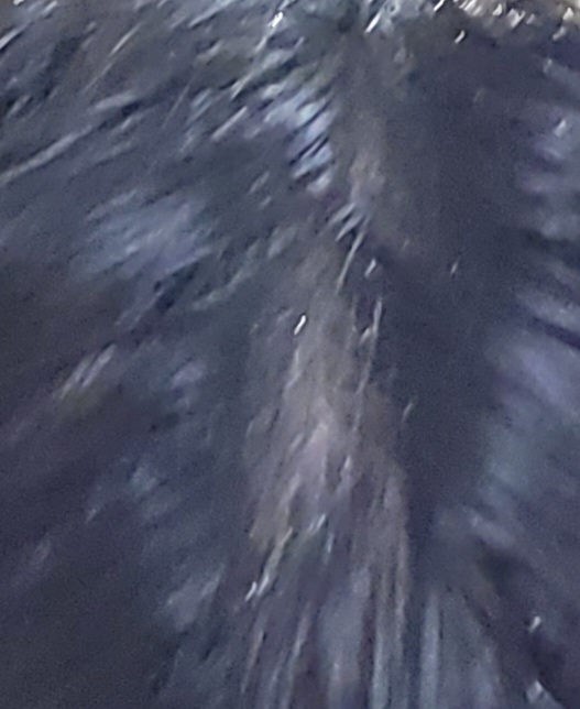 20230109_154648.jpg
