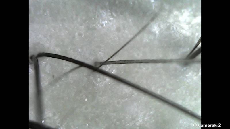 220619_155848.jpg