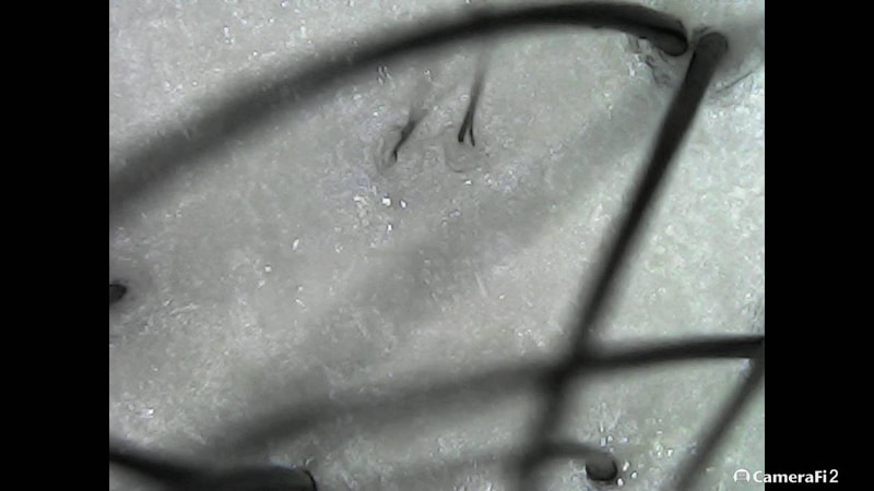 220619_155841.jpg