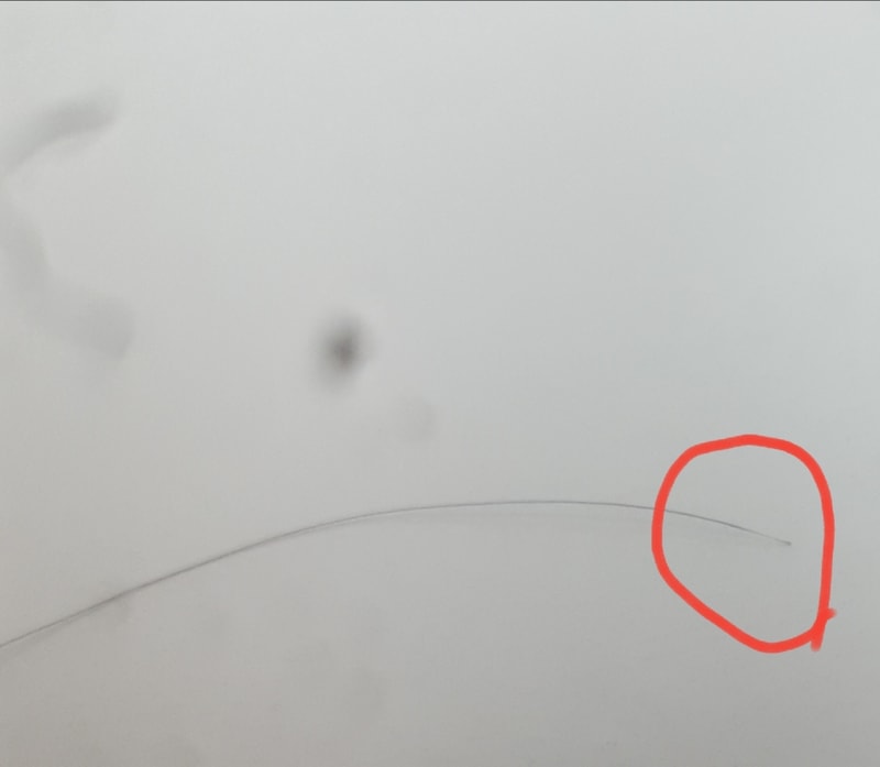 20190804_170427.jpg