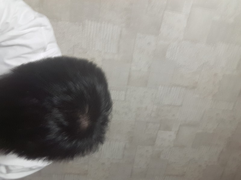 20170925_203247.jpg