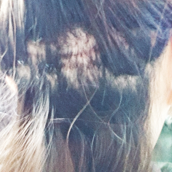 CYMERA_20150205_133546.jpg