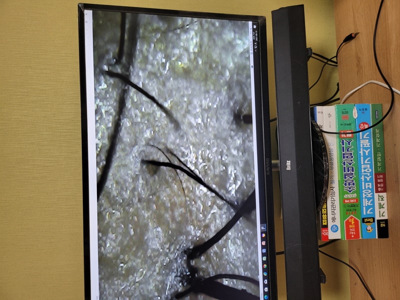 20210913_074113.jpg
