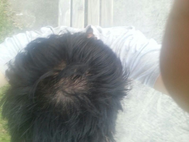 KakaoTalk_20141010_100431714.jpg