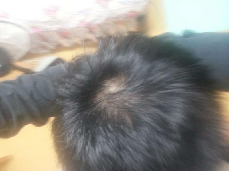 KakaoTalk_20141008_141312867.jpg
