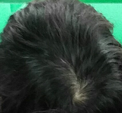 20170629_125550446-1.jpg