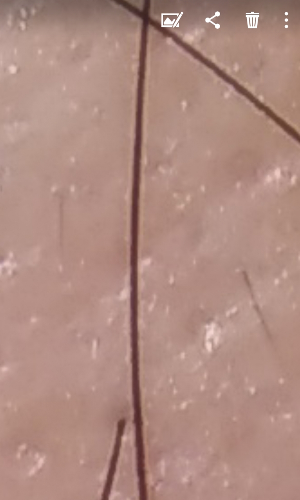 Screenshot_20190307-233248.png