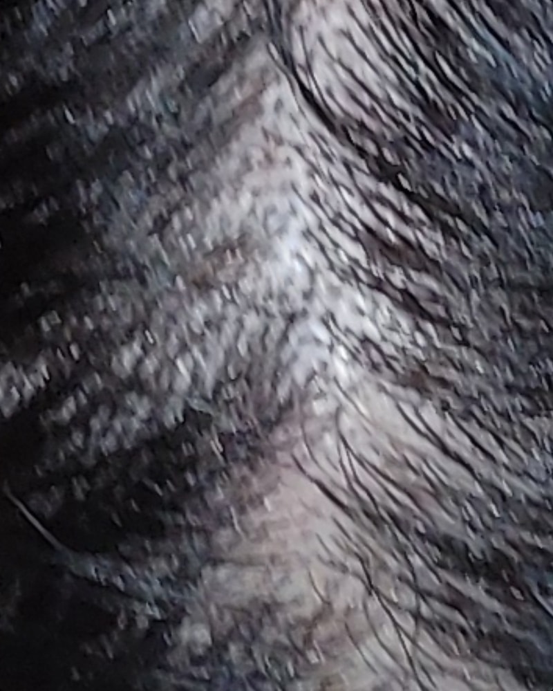 Screenshot_20211013-002340_Gallery.jpg