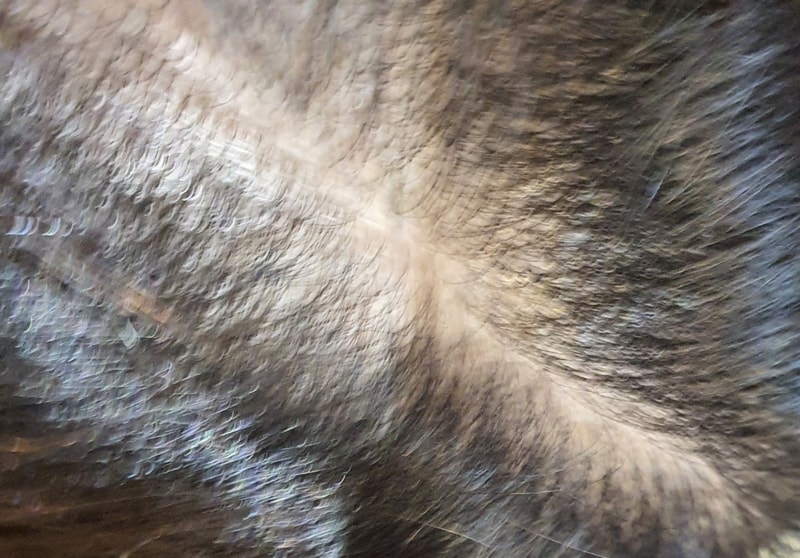 20210818_123915.jpg