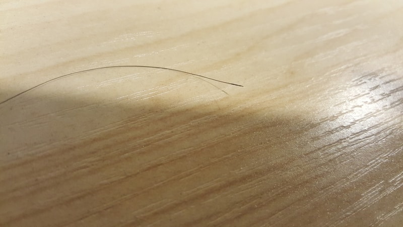 20170311_114713_001.jpg