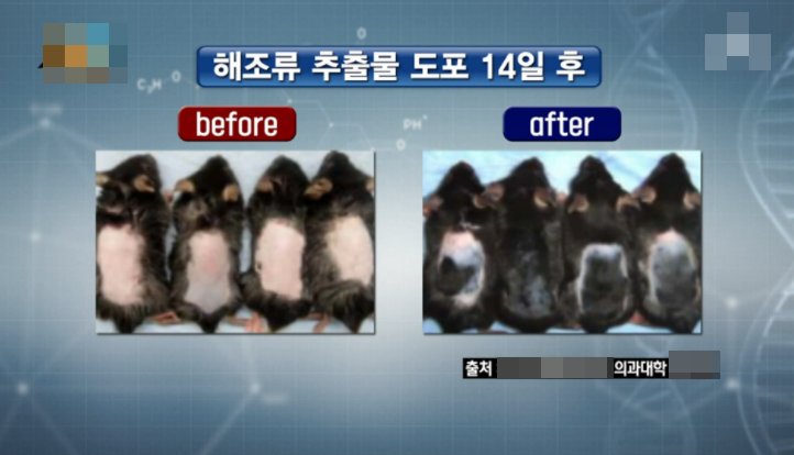 첫 페이지.png
