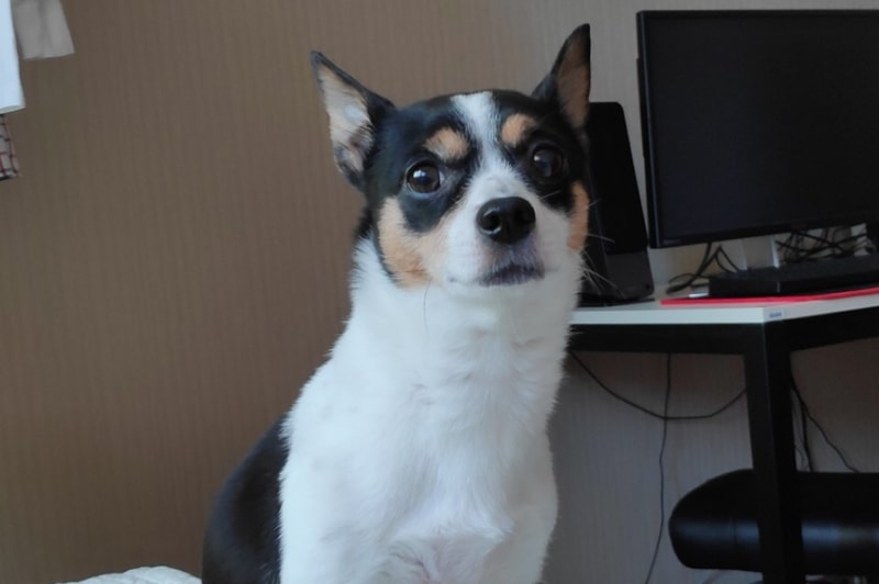 19F02163-DDCB-4002-B6BD-D93195C377E0.jpeg