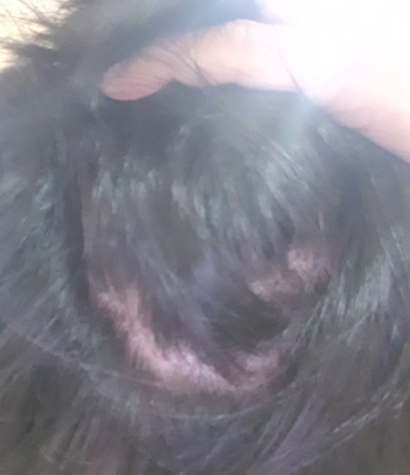 20180221_173219.jpg