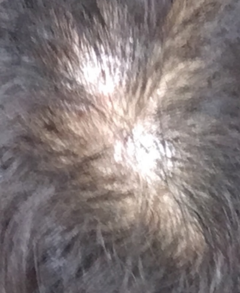IMG_3958.PNG