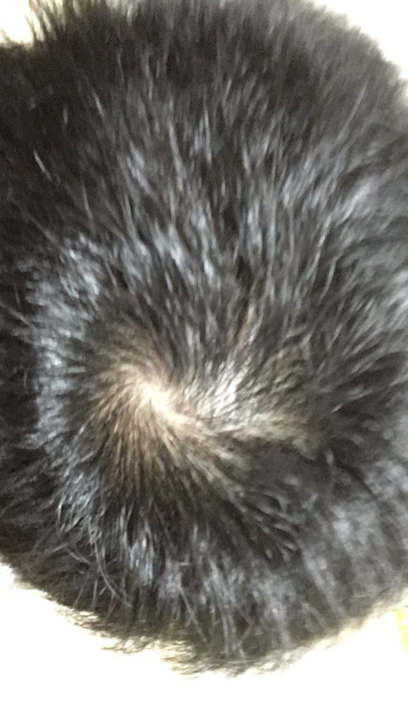 5D2A56C5-AE52-4490-9C18-EA29438E28AE.jpeg