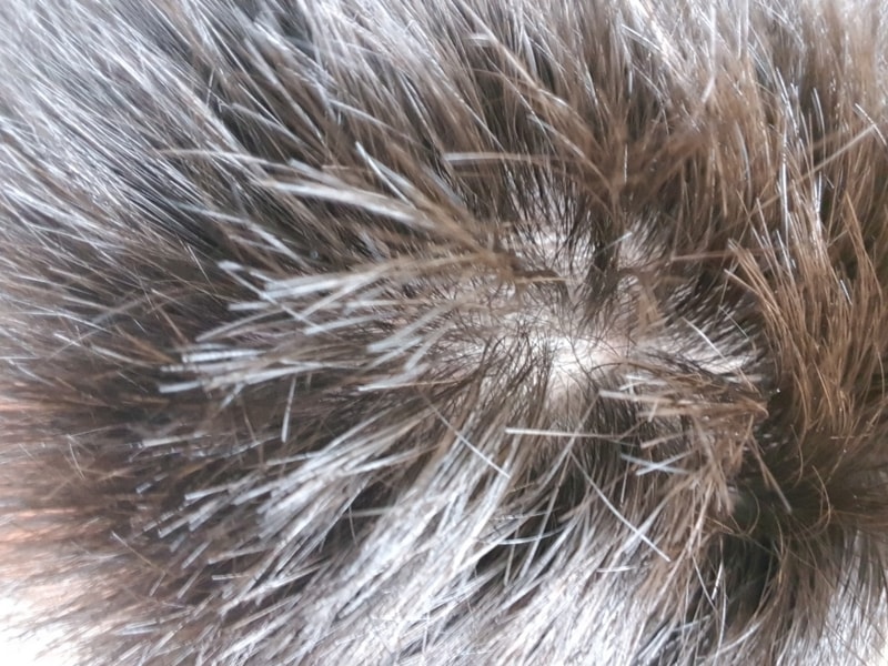 20180715_193134.jpg