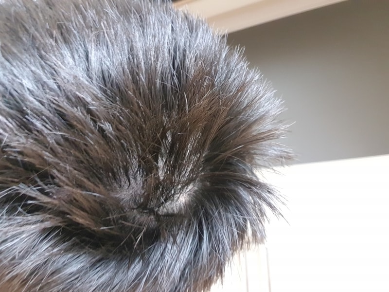20180715_193351.jpg