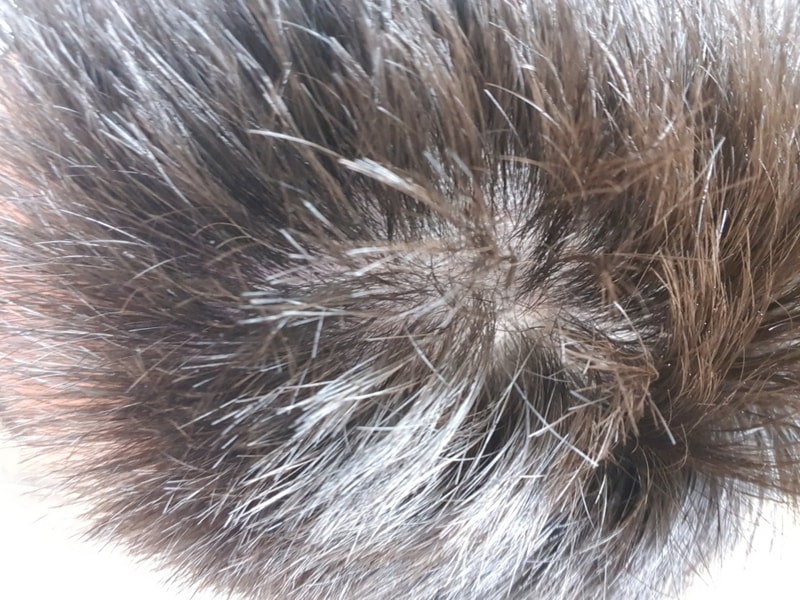20180715_192756.jpg