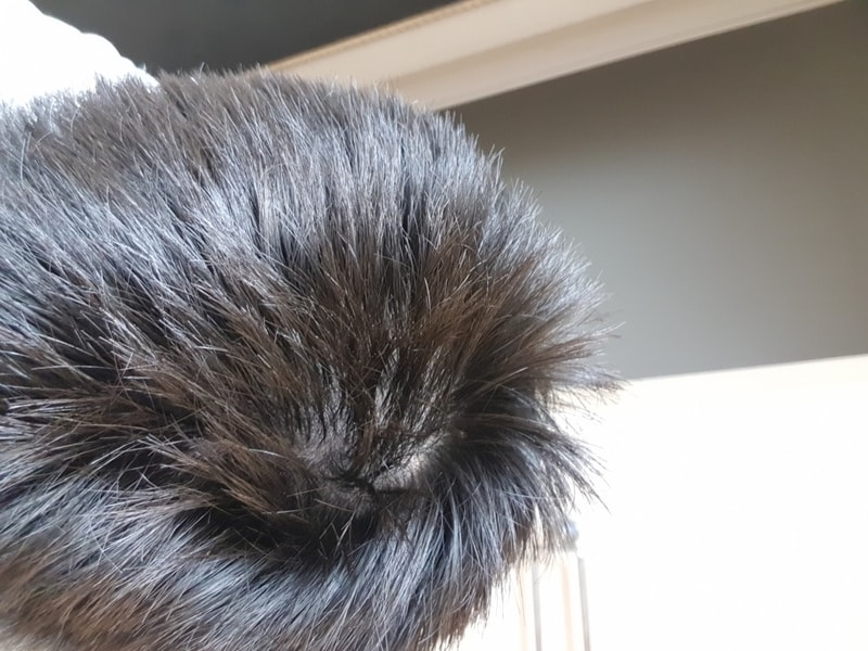 20180715_193354.jpg