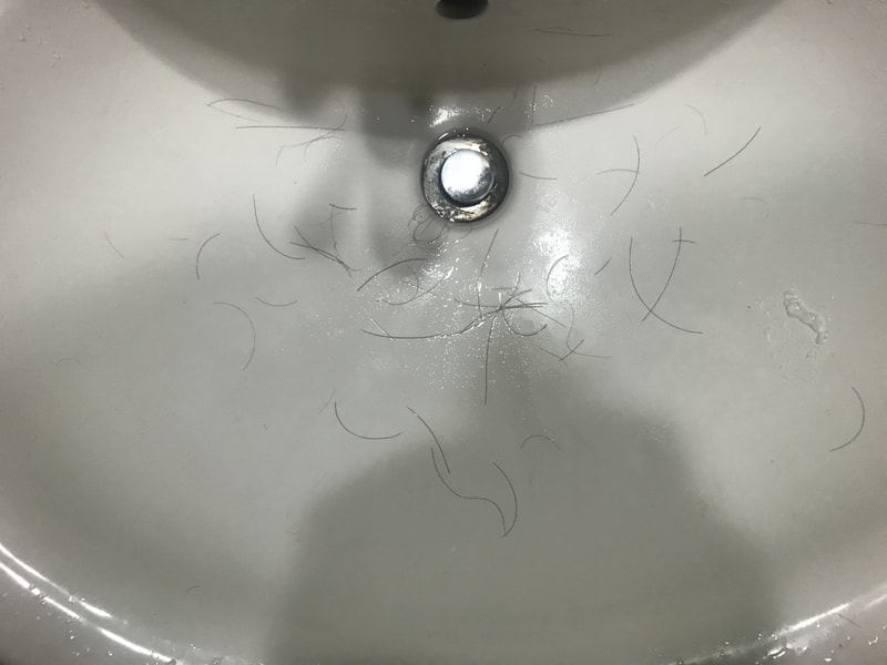 ADA2610C-6EA3-4A4B-AA11-82D44CA1D469.jpeg