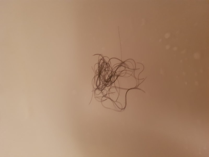 20190627_175423.jpg