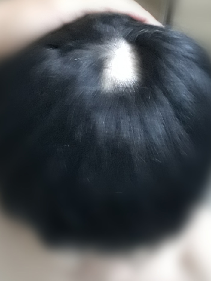 2017-09-03-19-44-50.jpg